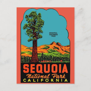 Parque Nacional Sequoia Califórnia Cartão Postal