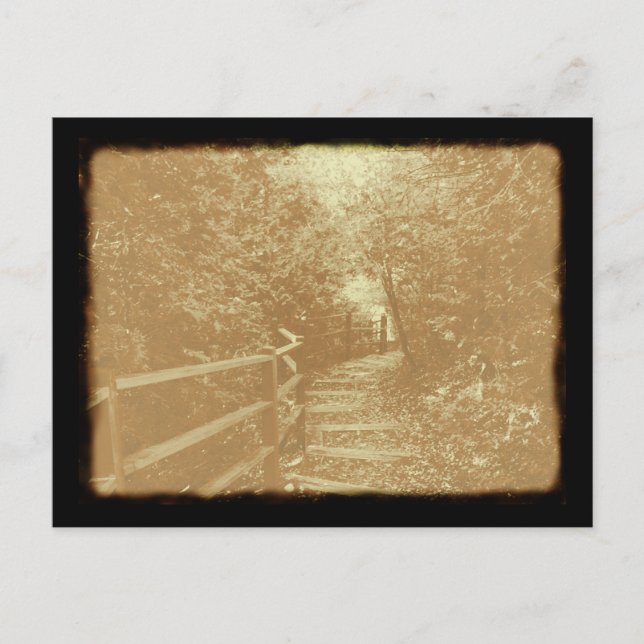 Parque Peterson, Northport, Michigan - Cartão post (Frente)