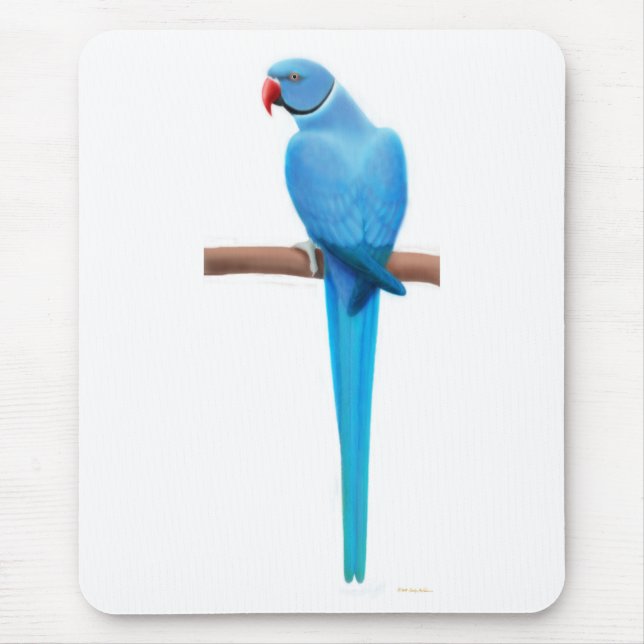 Parrakeet azul Mousepad de Ringneck do indiano (Frente)