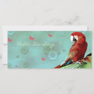 PARROT ~ Cartão de Saudação / Cartão Postal