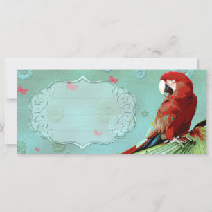 PARROT ~ Cartão de Saudação / Cartão Postal