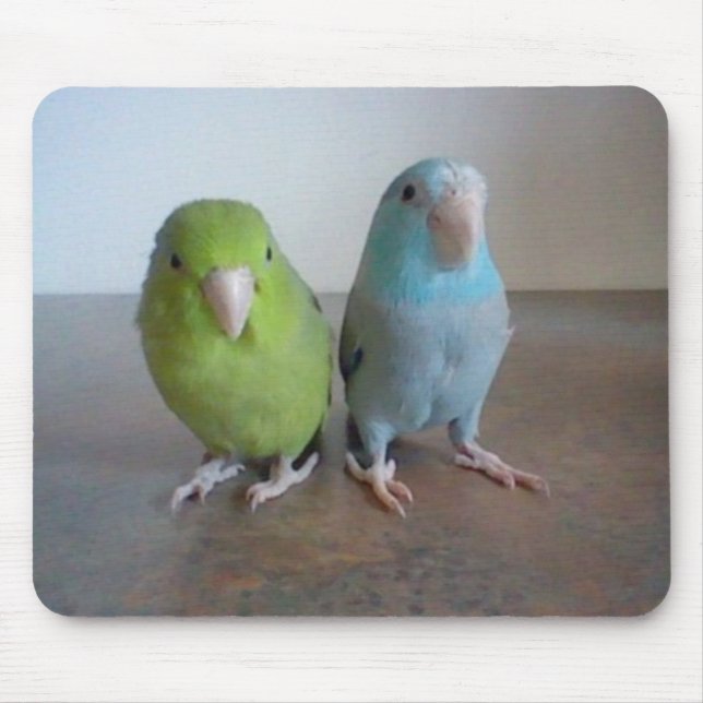 Parrotlet Mousepad (Frente)
