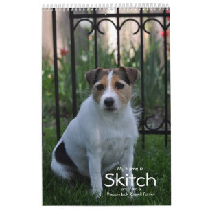 Parson Jack Russell Terrier Dog Calendário de Jan