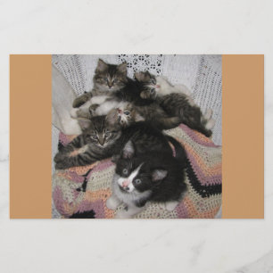 Parte da cadeira dos gatinhos