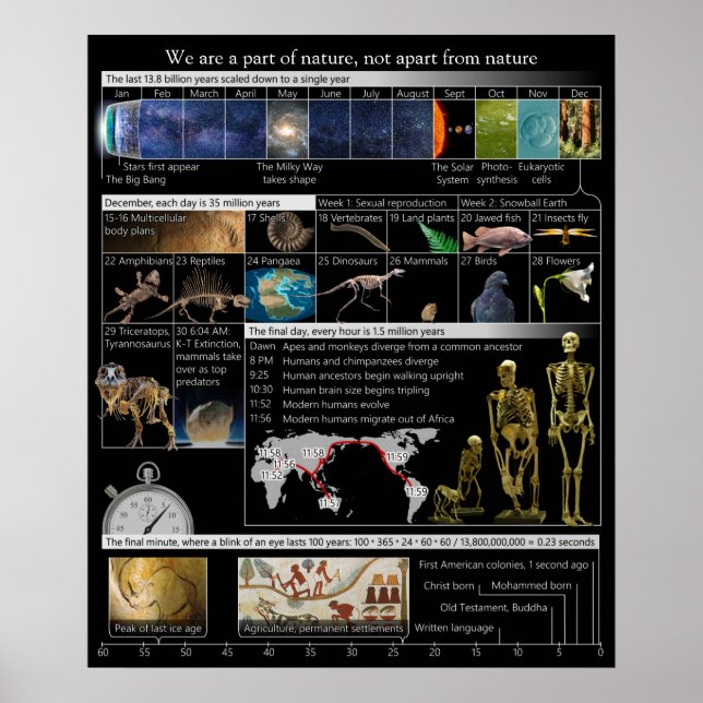 Parte da natureza, sem exceção do Poster de retrat (Frente)