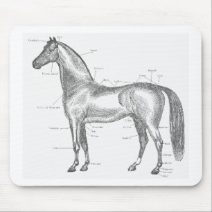 Partes do cavalo Mousepad