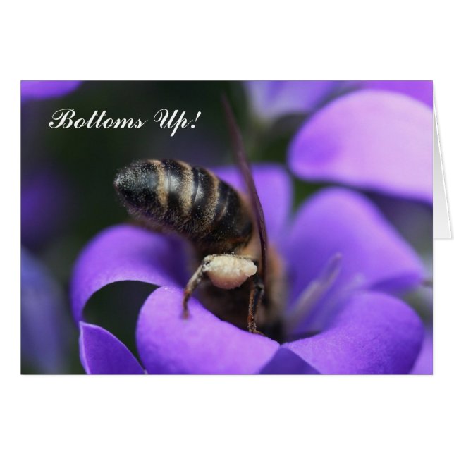 Partes inferiores acima! Cartão (Frente Horizontal)