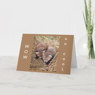 PARTILHAR UM "ANIVERSÁRIO" COM "VOCÊ" É UM CARTÃO 