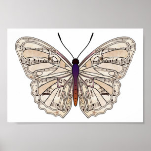 Partitura do vintage - poster da borboleta