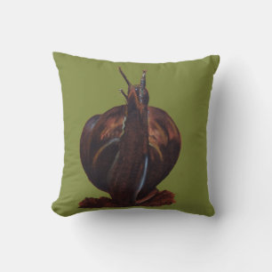 Pás-Caracóis Desenhando Almofada