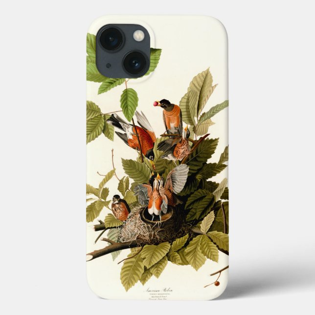 Pássaro Americano Robin Wildlife (Verso)