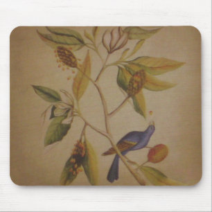 Pássaro Azul ~ Mousepad