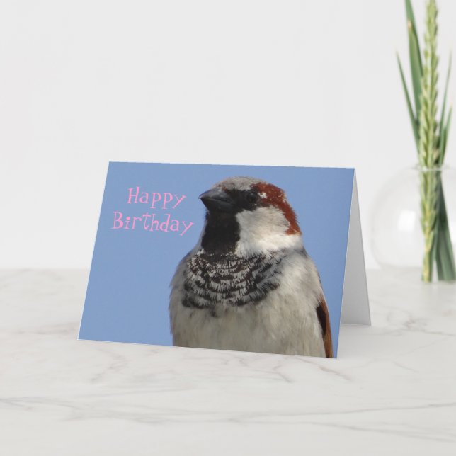 Pássaro bonitinho do cartão de aniversário (Frente)
