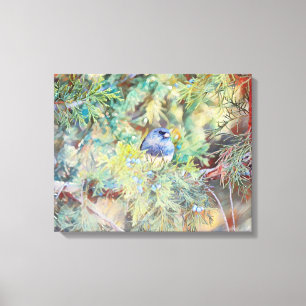 Pássaro bonito em Blues, Impressão de Arte Fotográ