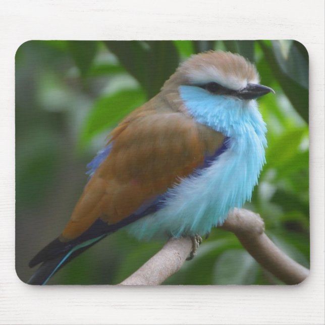 Pássaro bonito Mousepad (Frente)