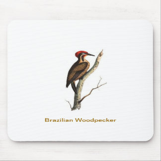 Pássaro brasileiro Mousepad do pica-pau