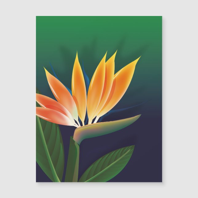 Pássaro da flor do paraíso (Frente)