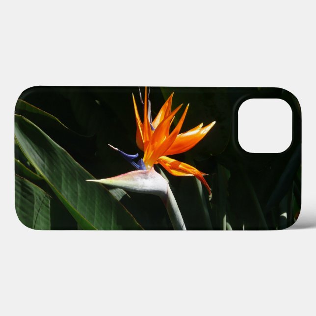 Pássaro da Flor Tropical Laranja do Paraíso (Verso (horizontal))
