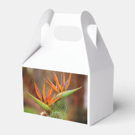 Pássaro das Caixas de Favor do Paraíso