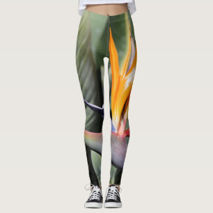 Pássaro das Leggings do Paraíso - Moda da Flor Úni