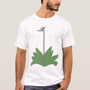 Pássaro De Camisa De Paraíso De Planta E Flor