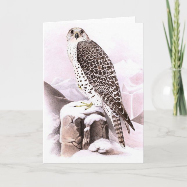 PÁSSARO DE Cartão de Nota Dobrado NA NEVE (Frente)