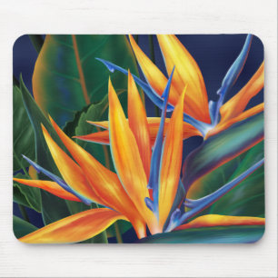 Pássaro de paraíso tropical Mousepad