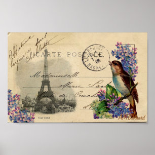 Pássaro do cartão de Paris em Lilacs poster ou
