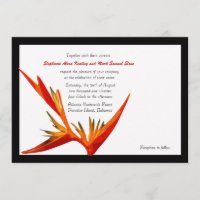 Pássaro do Paraíso - Convite de Quadro Branco/Pret