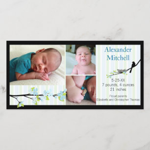 Pássaro e flores no anúncio do nascimento dos