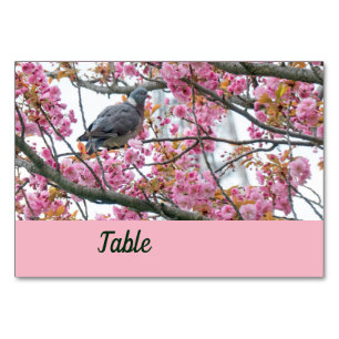 Pássaro empoleirado num cartão de mesa Sakura flor