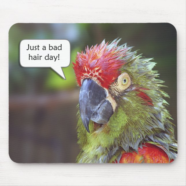 Pássaro engraçado Mousepad (Frente)