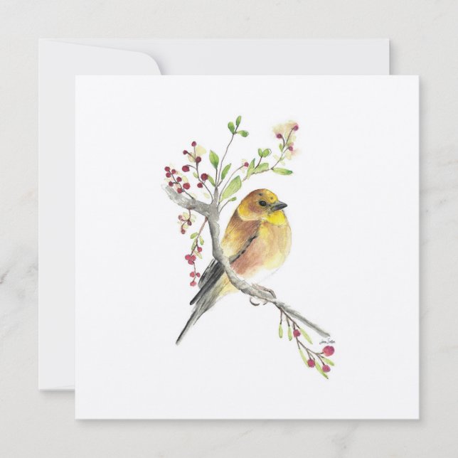 Pássaro Goldfinch Watercolor (Frente)