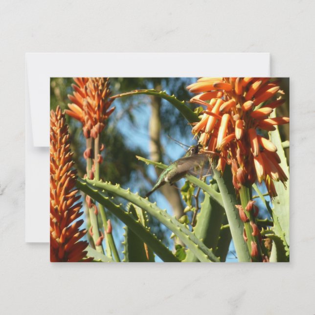 Pássaro Humino Chinês Negro em Voo (Frente)