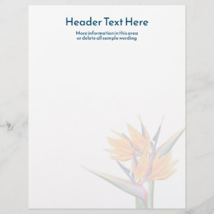 Pássaro Laranja do Papel de carta do Vazio do Para