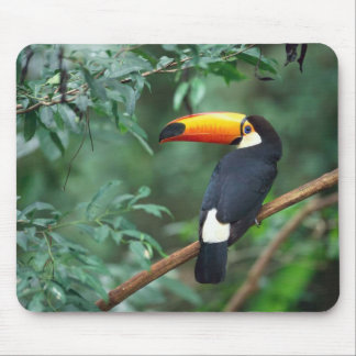 Pássaro Mousepad de Toco Toucan