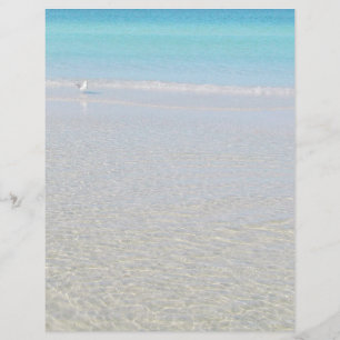 Pássaro no papel de carta da praia