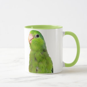 Pássaro pacífico verde de Parrotlet caneca do copo