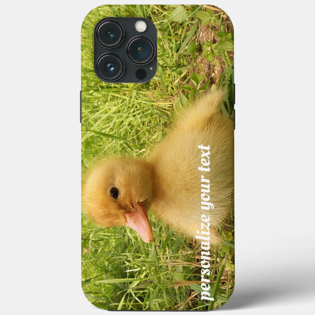 pássaro, pato, pato, amarelo, natureza, fofo, bebê (Verso)