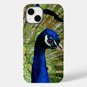 Pássaro Pavão Verde Belo Bonito