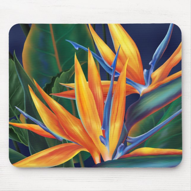 Pássaro Tropical do Mousepad do Paraíso (Frente)