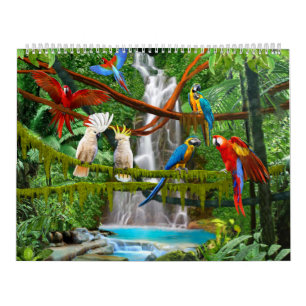 PÁSSAROS #1 DO CALENDÁRIO