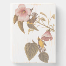 Pássaros-caninos amarelos-amarelos-de-asa-azul de 