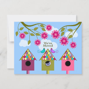 Pássaros coloridos que movem o anúncio