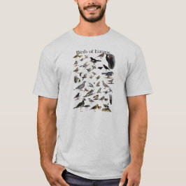 Pássaros da camisa de Europa