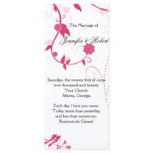 Pássaros do Amor no Programa Casamento Rosa e Bran