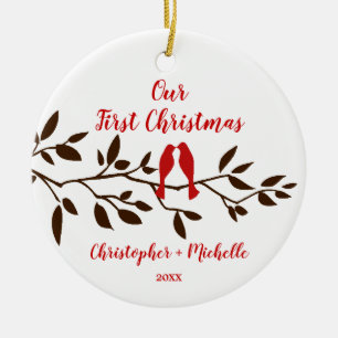 Pássaros do amor nossos primeiros enfeites de