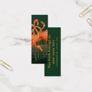 Pássaros do animal selvagem do vintage, flamingos