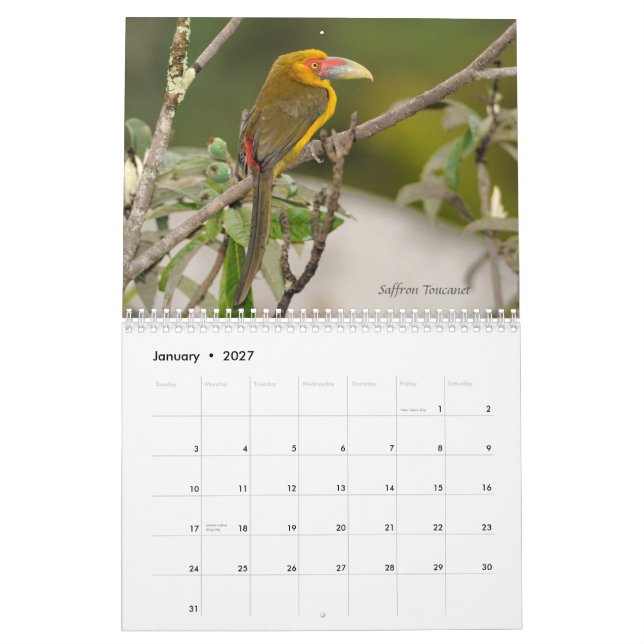 Pássaros do calendário atlântico da floresta de (Jan 2027)
