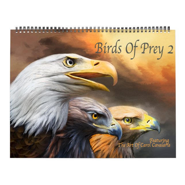 Pássaros do calendário da arte da rapina 2 (Capa)
